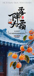 节气海报 