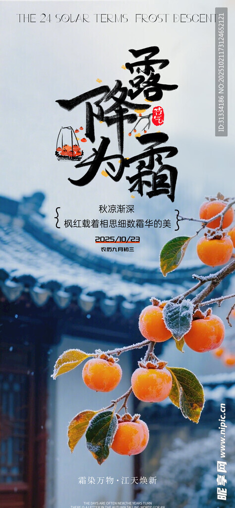 节气海报 