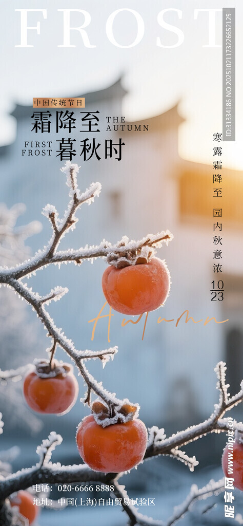 节气海报