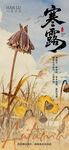 节气海报 