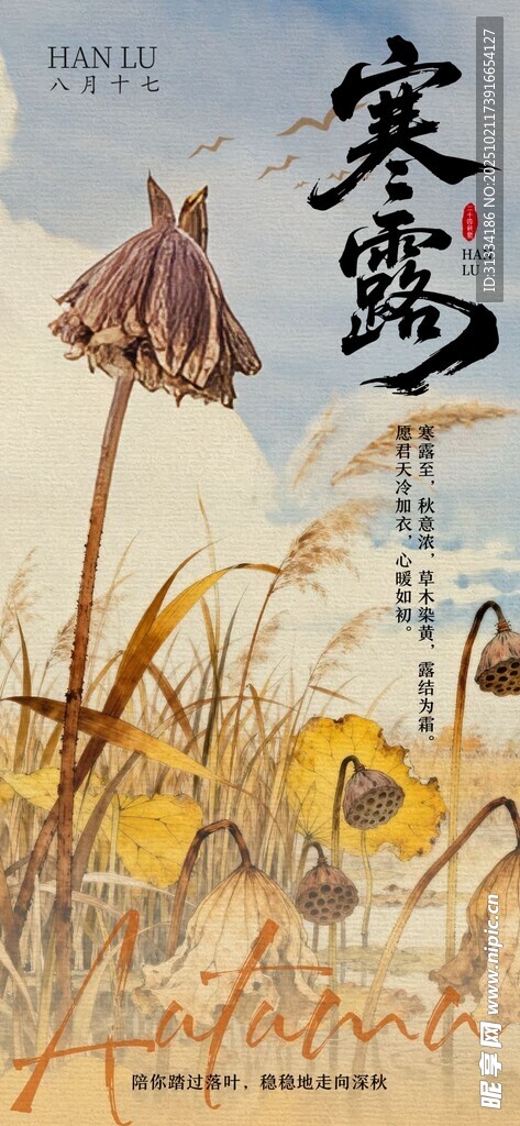 节气海报 