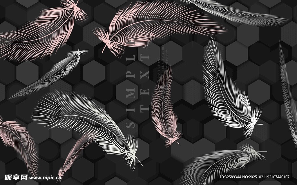 梦幻羽毛与几何背景图案