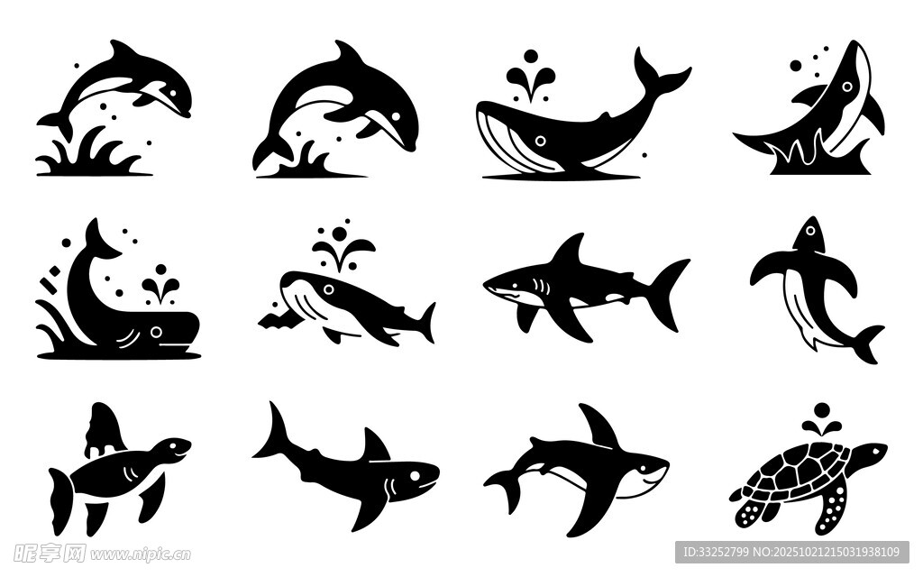 海洋生物剪影