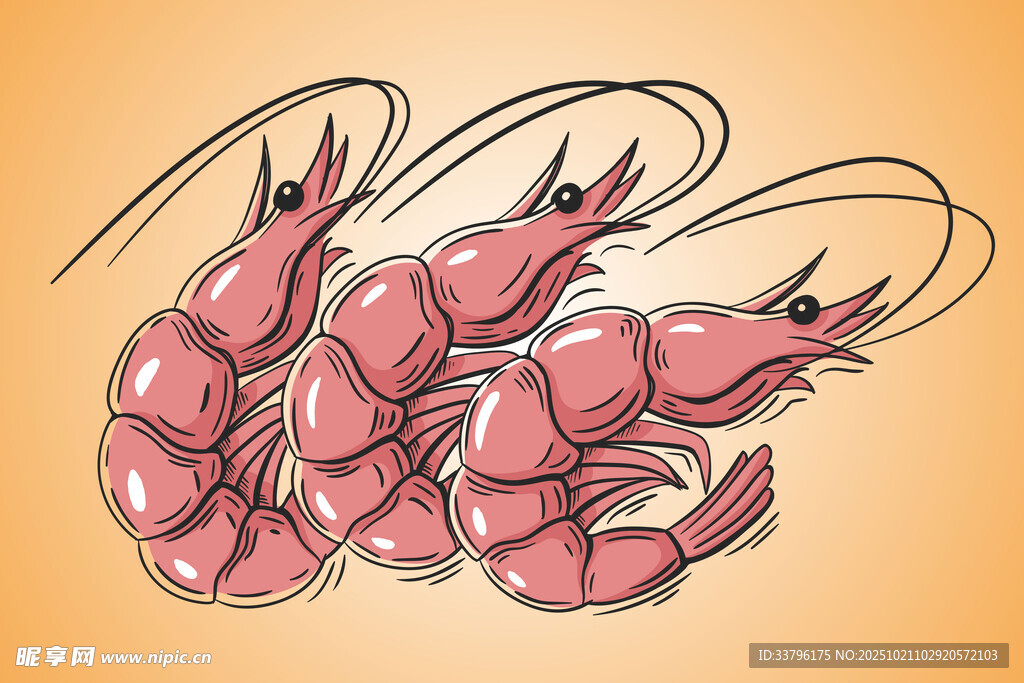 鲜虾插画