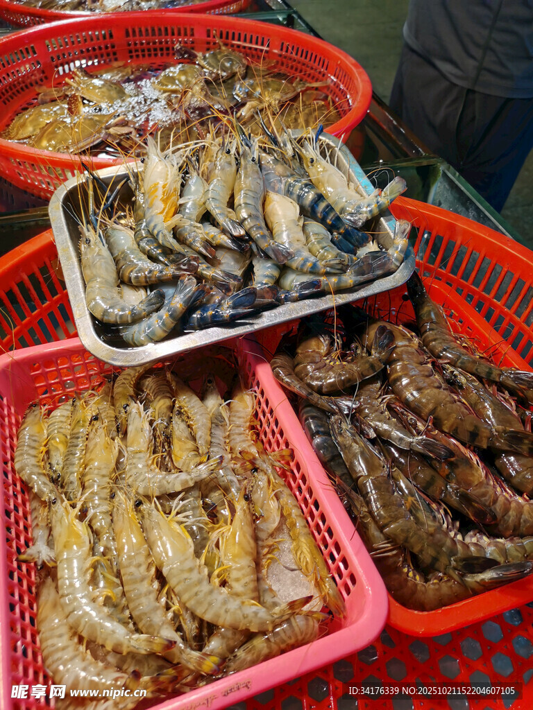 虾