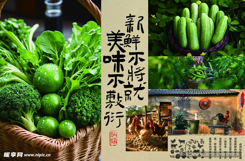 新鲜有机蔬菜展示