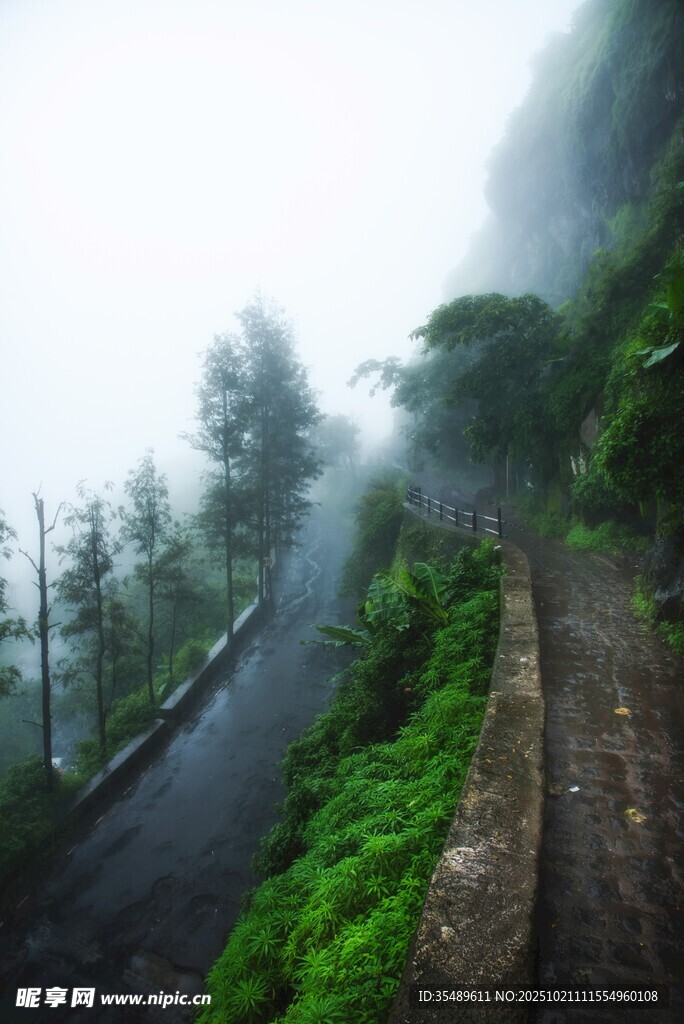 山间雾中蜿蜒的静谧公路
