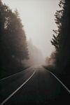 雾中公路