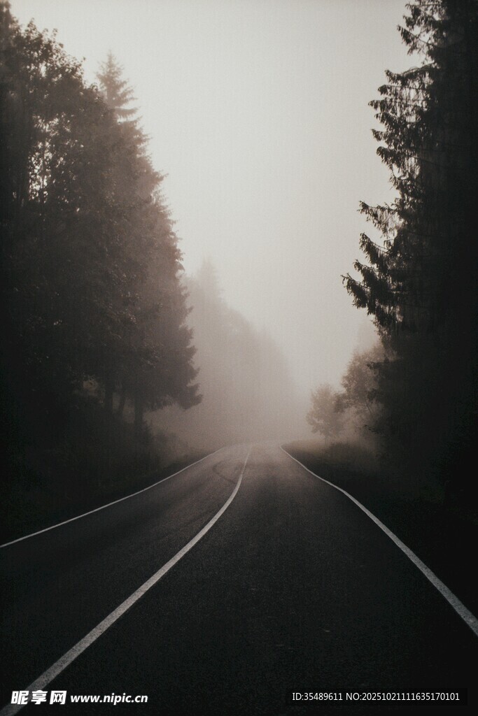雾中公路