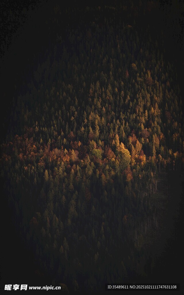 抽象炫彩粒子背景图