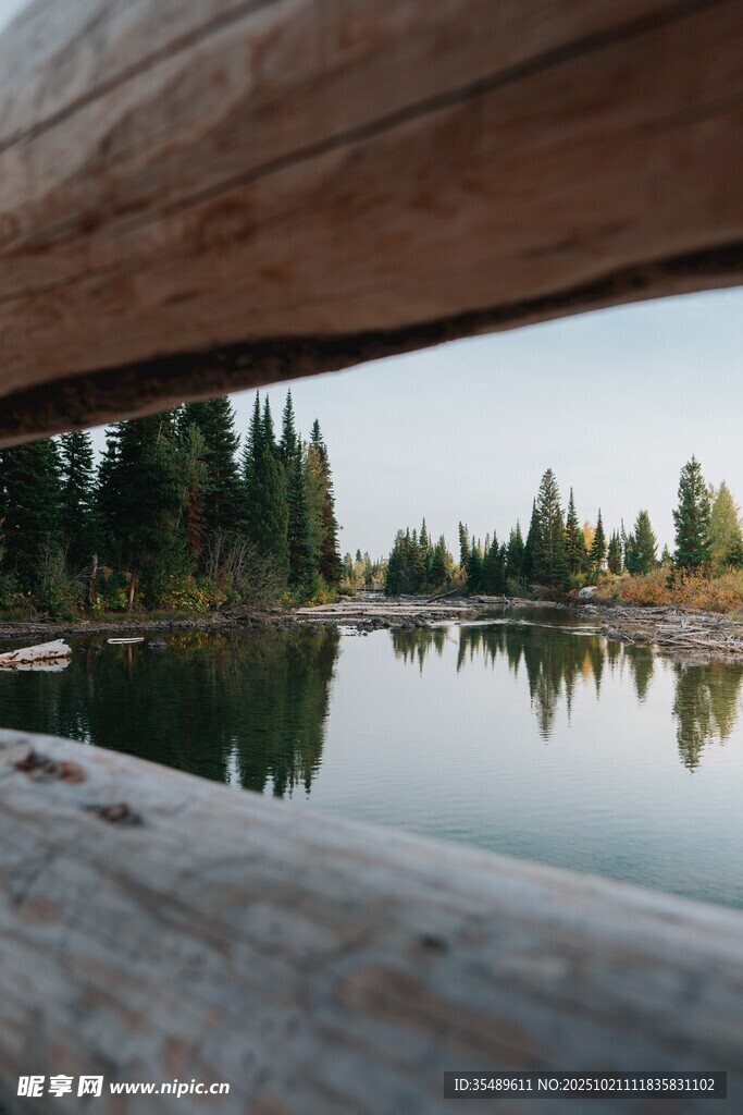 湖畔林间美景