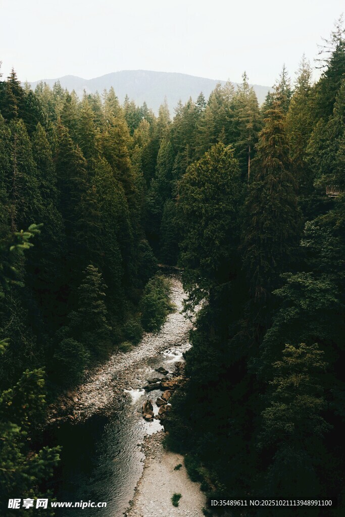 山林间蜿蜒流淌的清澈溪流