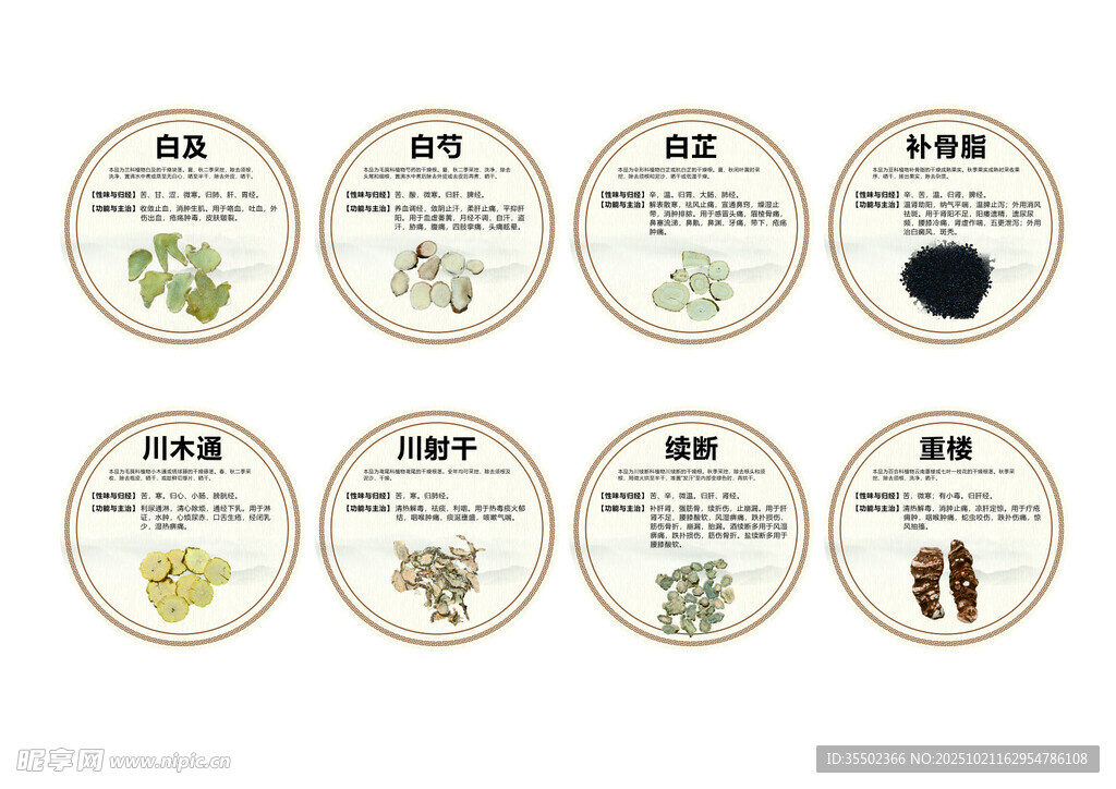 中药材装饰圆形灯箱3