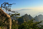 奇峰上的孤松美景