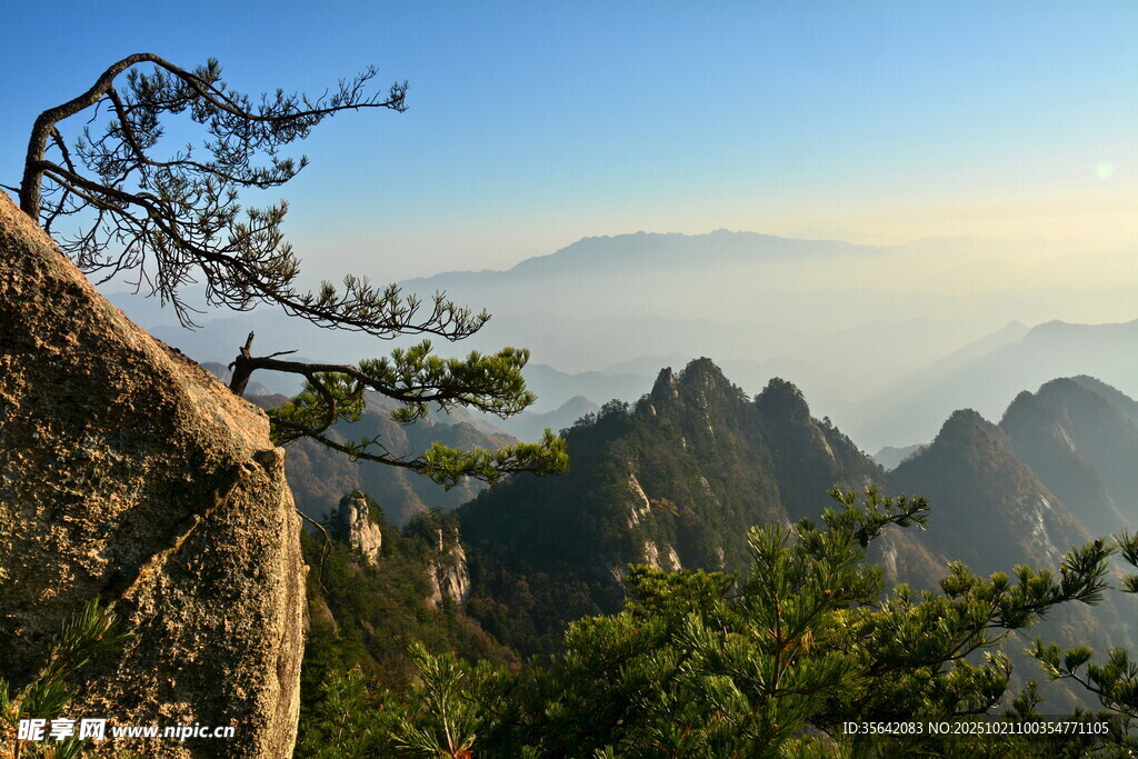 奇峰上的孤松美景