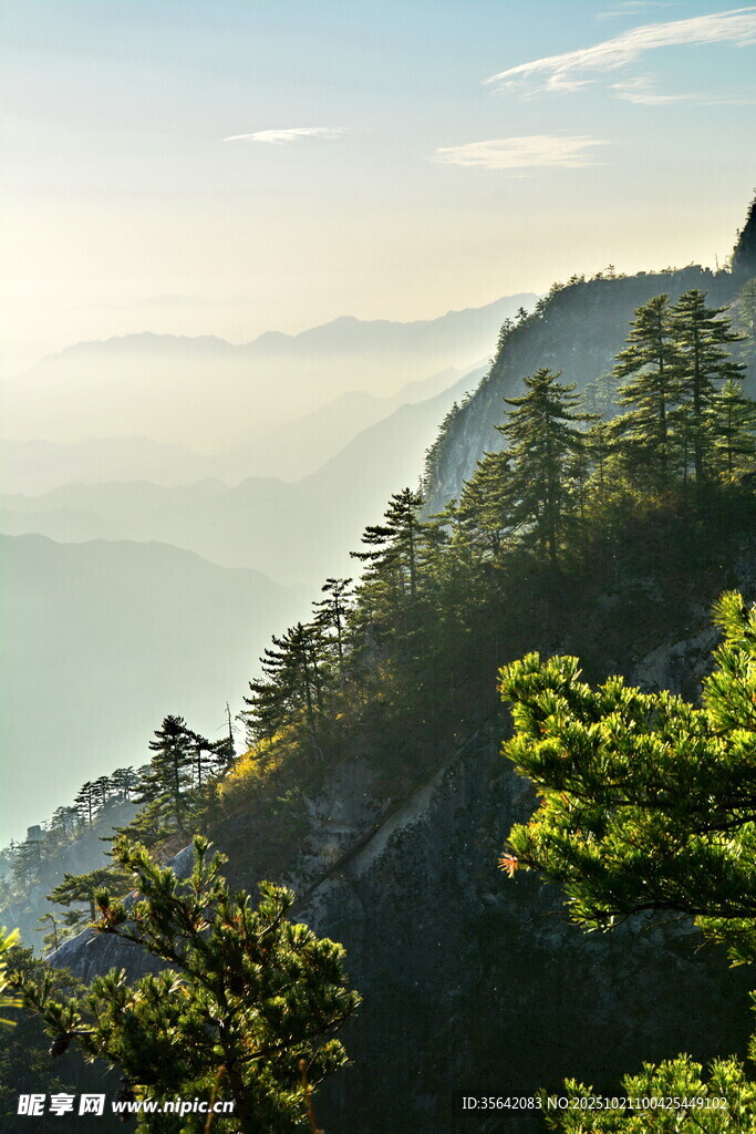 山间晨景 绿树云雾相衬