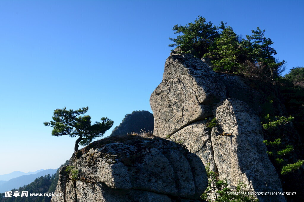 峻峭岩石上的孤松