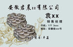 安徽某集团表彰证书