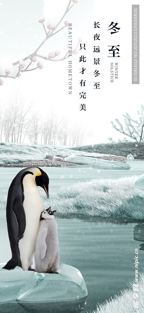 冬日企鹅雪景图