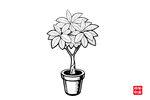 简约盆栽绿植插画