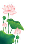 卡通荷花
