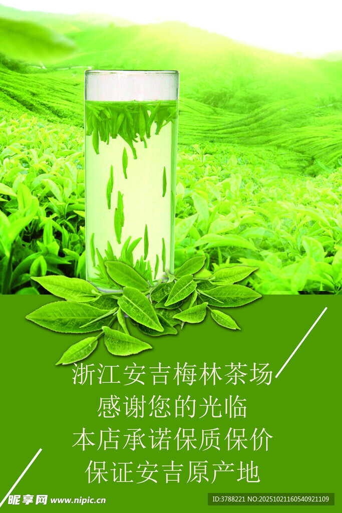 吉林长白山人参鲜参直销