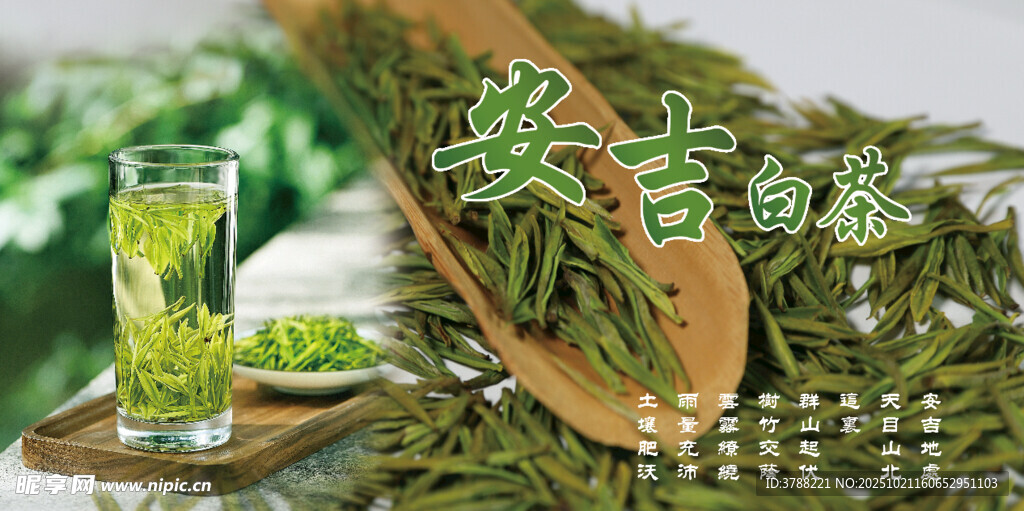 茶