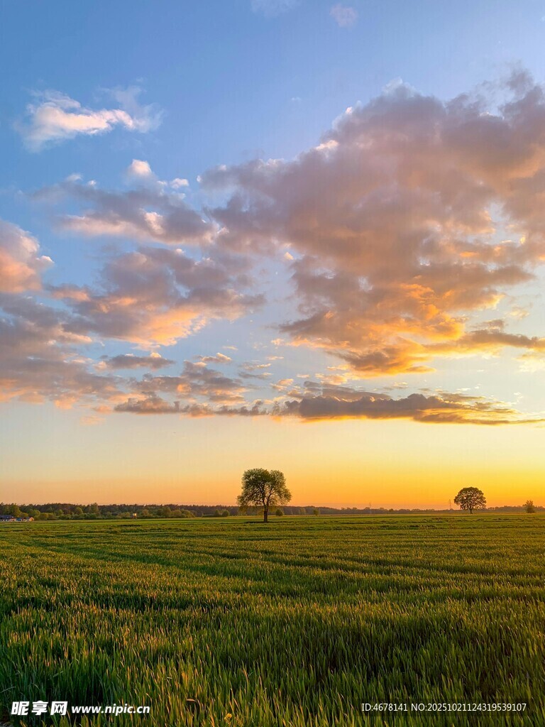 夕阳下的广袤田野美景