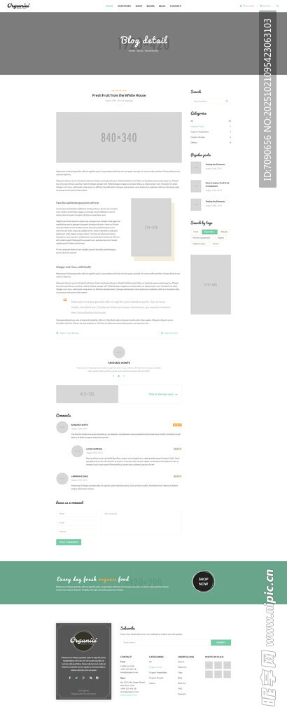简洁网页设计模板展示