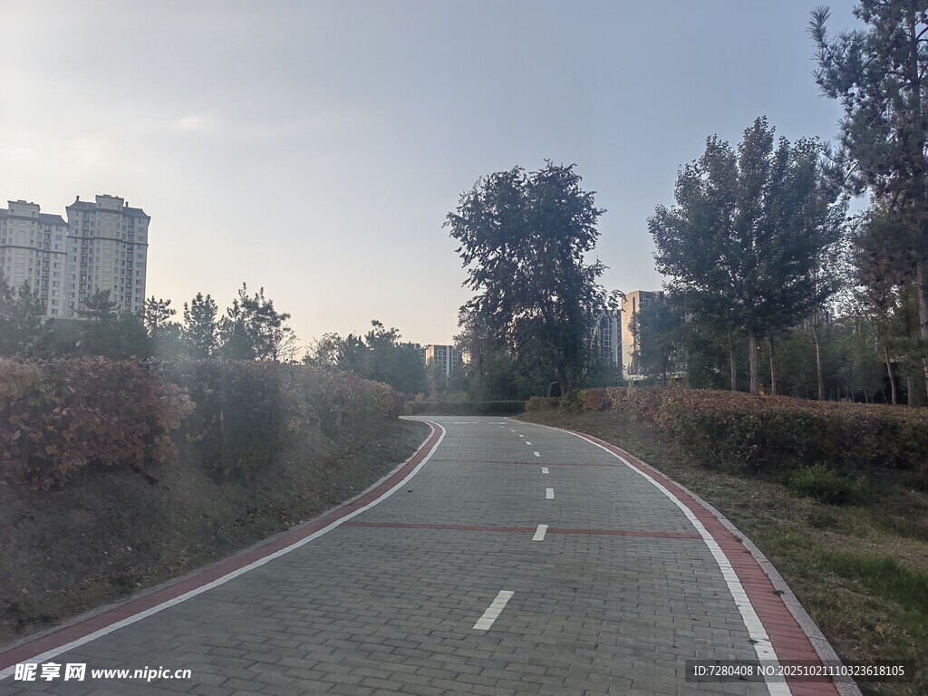 乡间蜿蜒小路静谧风光