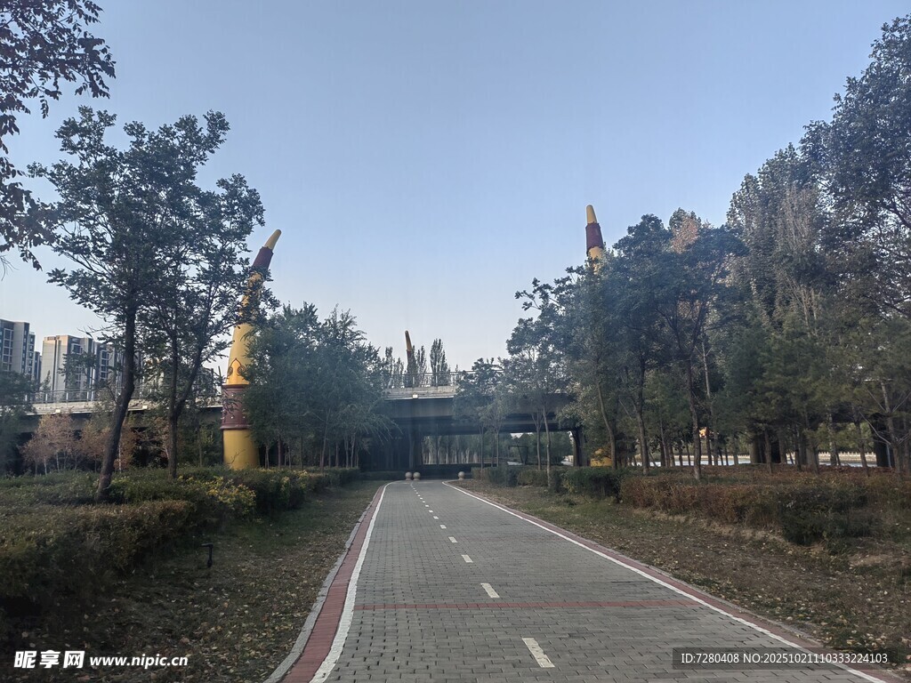 林间宽阔道路景色宜人
