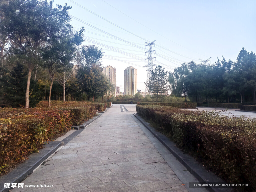 秋日林荫小道风景