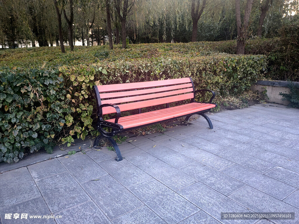 公园中的红色长椅