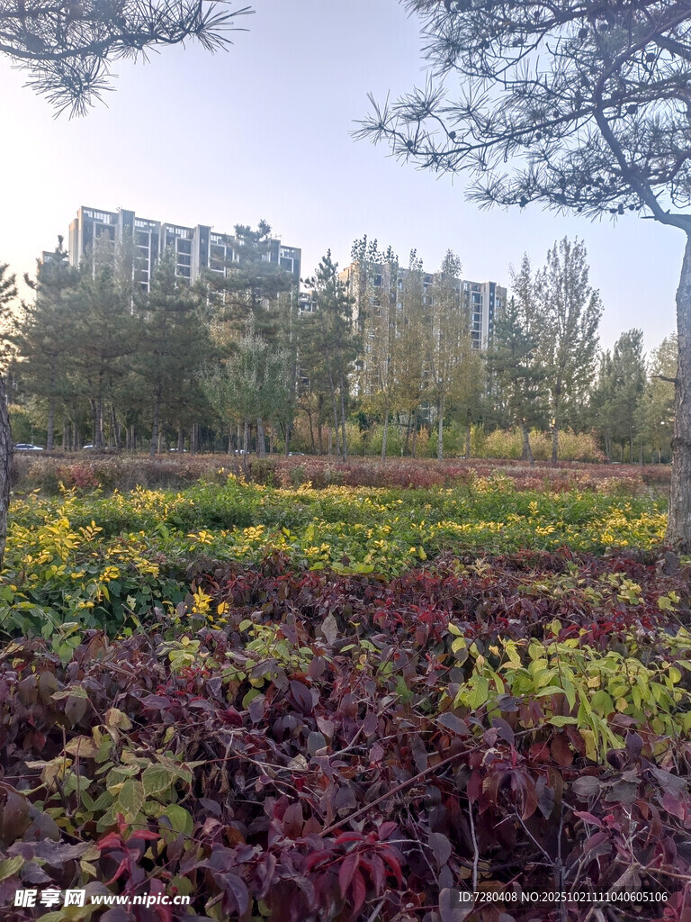 城市中的多彩花卉景观
