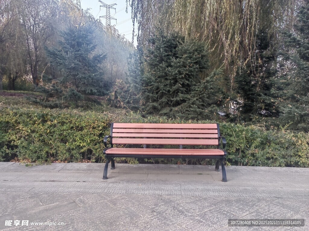 公园中的长椅