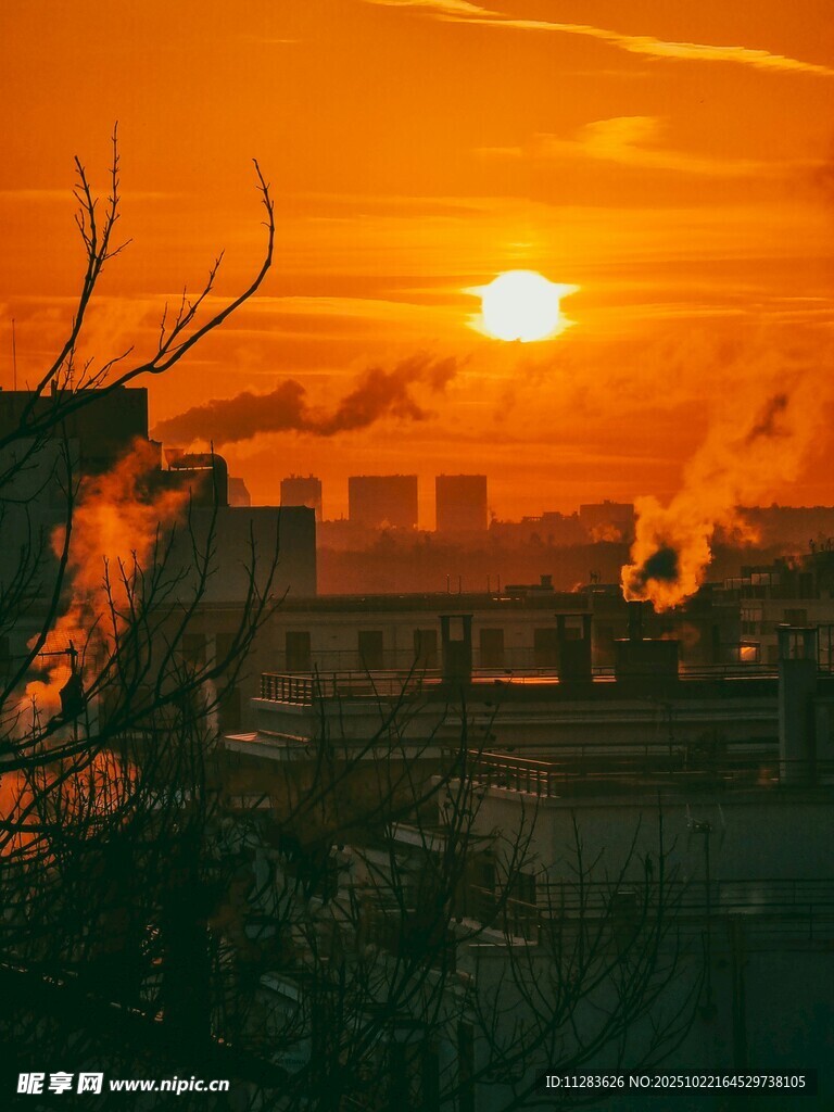 夕阳下的城市与枯树景观