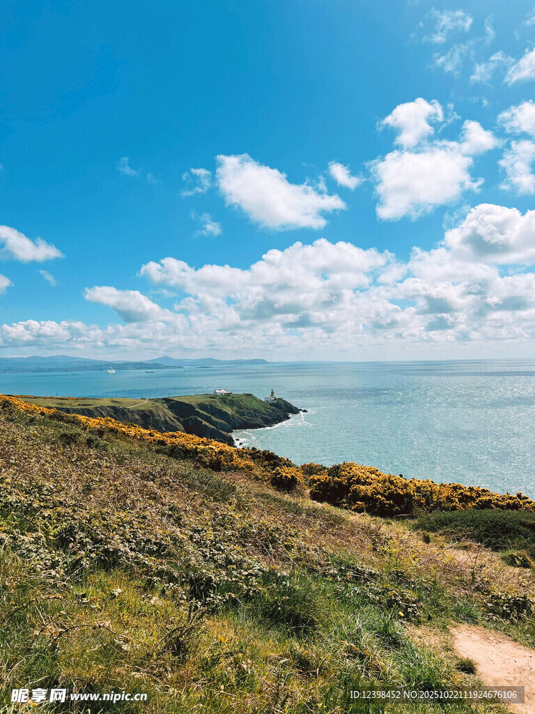 海边草地与蓝天美景