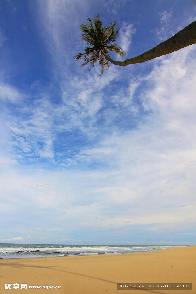 椰树沙滩蓝天海滨美景