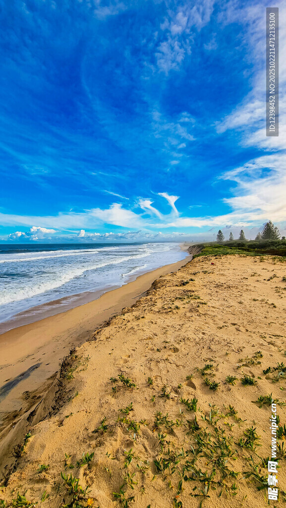 美丽海滨沙滩风光