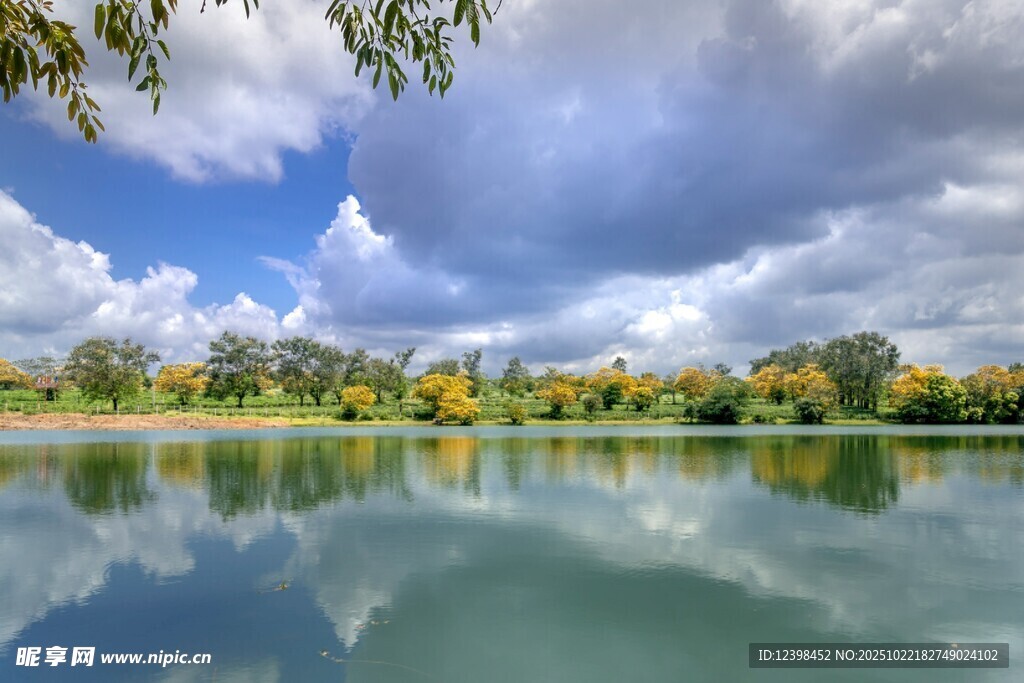 湖畔美景