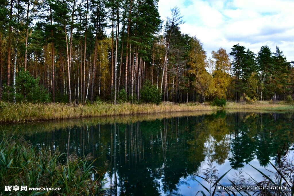 秋日湖畔森林美景