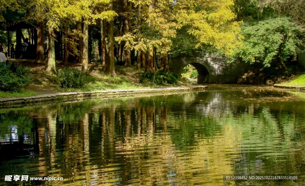 秋日湖畔树林倒影美景