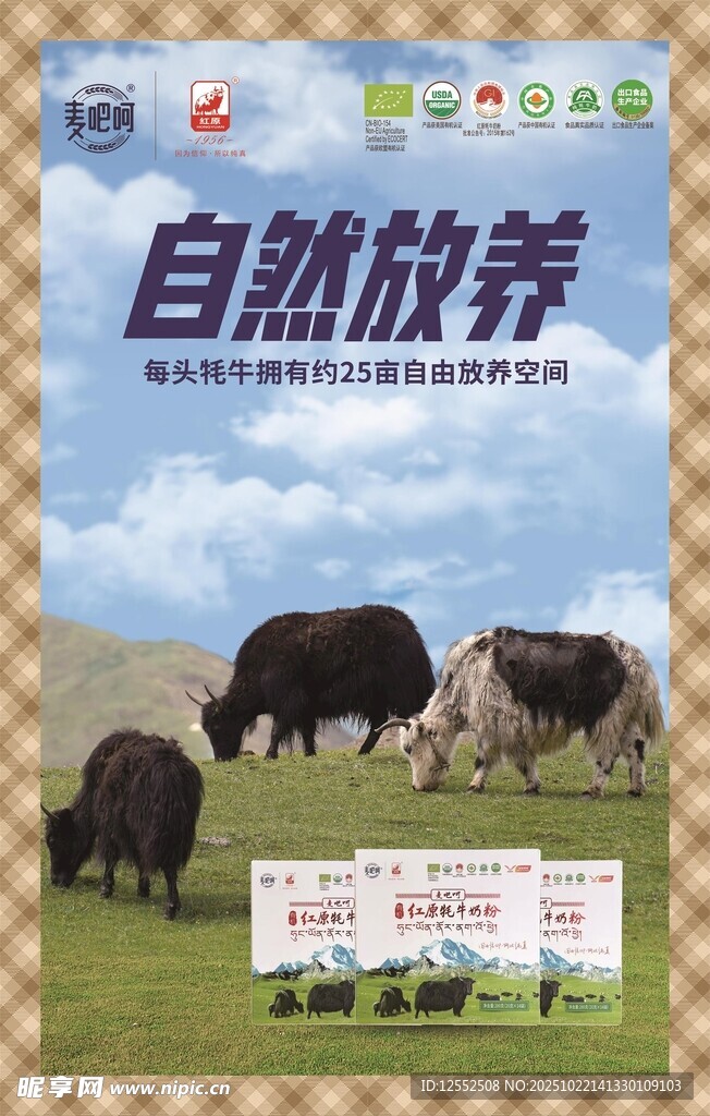 自然放养牦牛宣传页展示