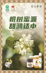 椴树蜜源