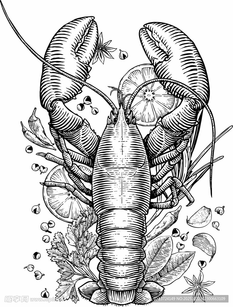 矢量龙虾