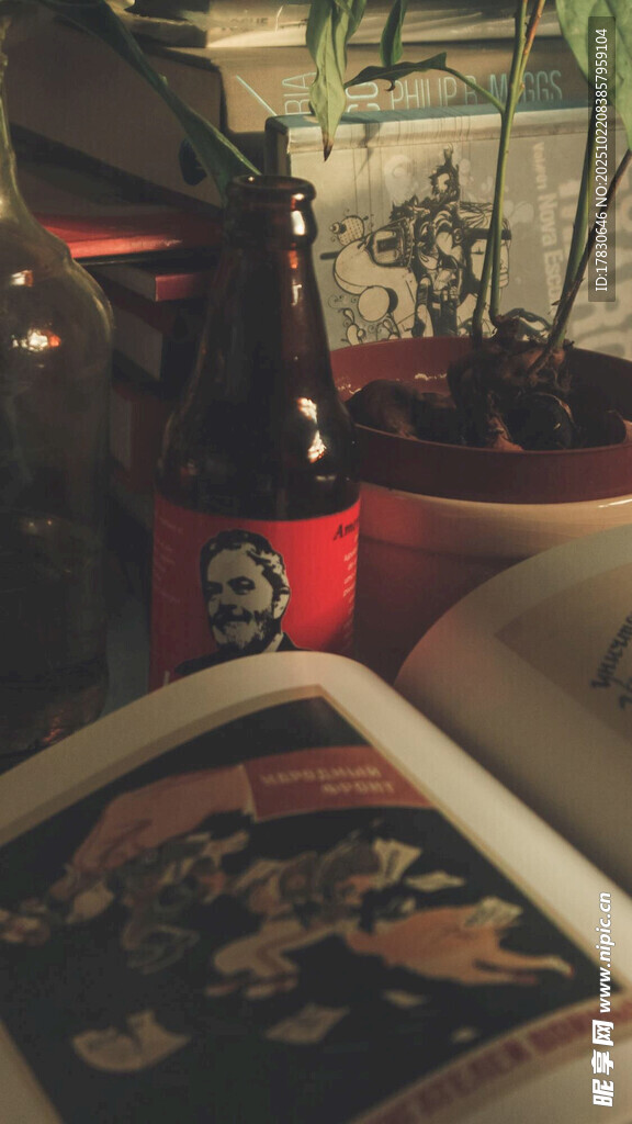 夜晚惬意的啤酒书籍时光