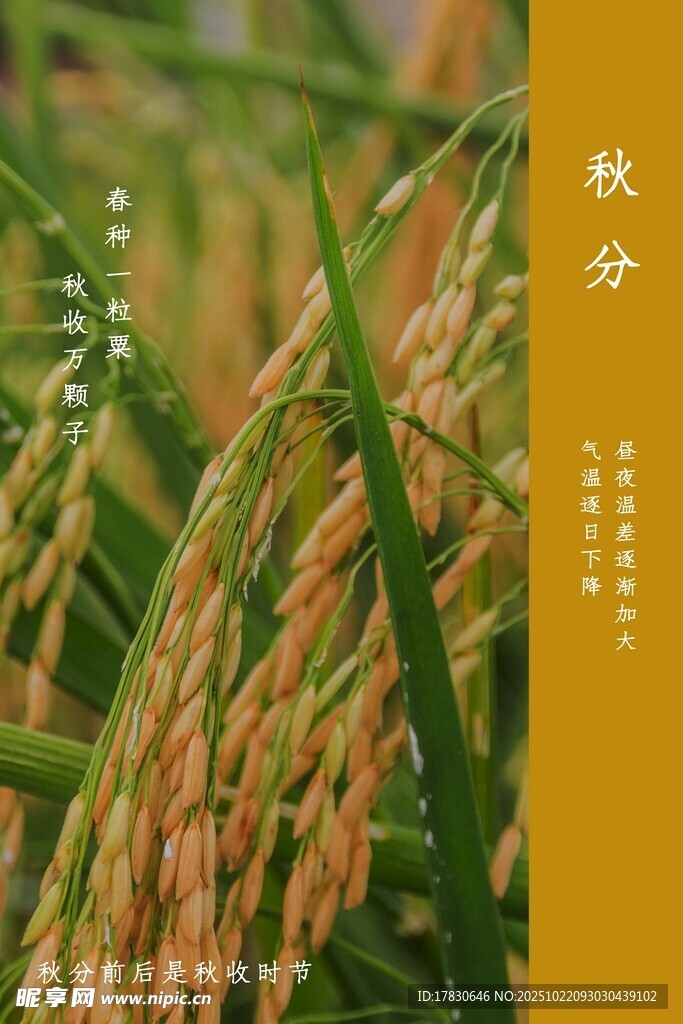 秋分海报