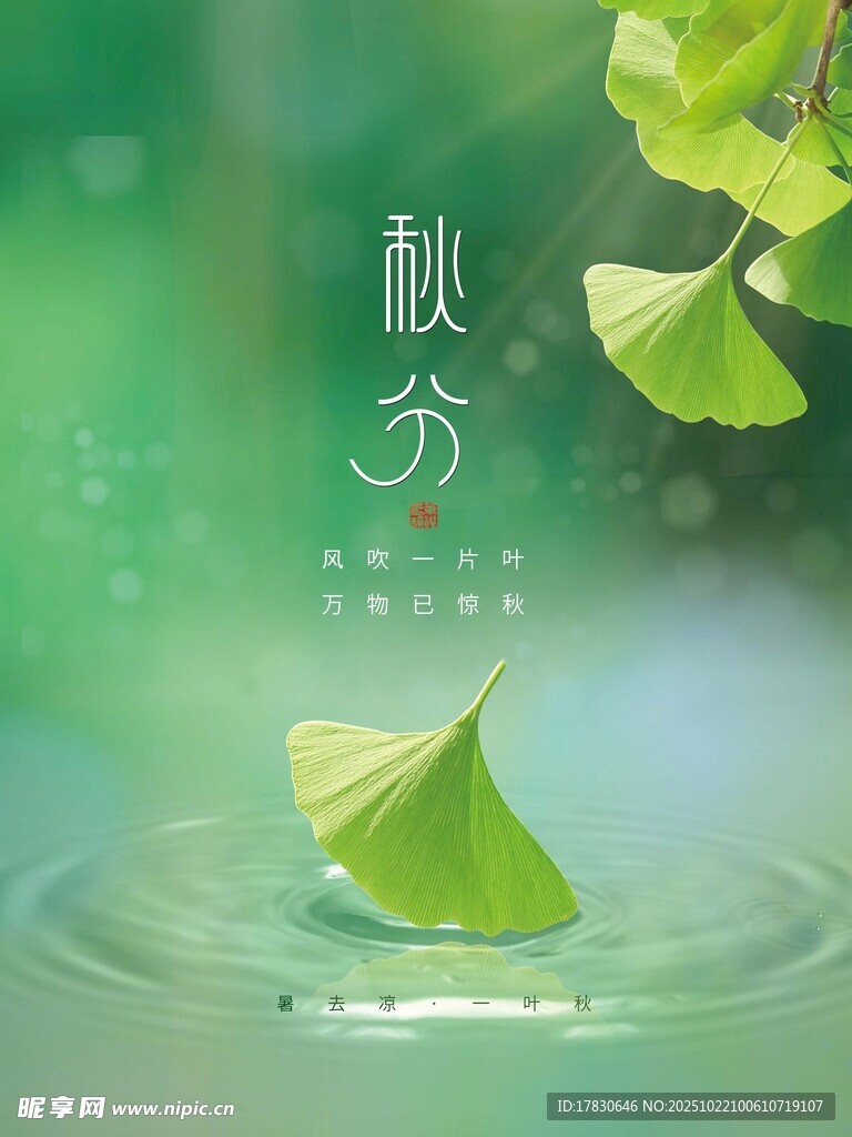 秋分海报