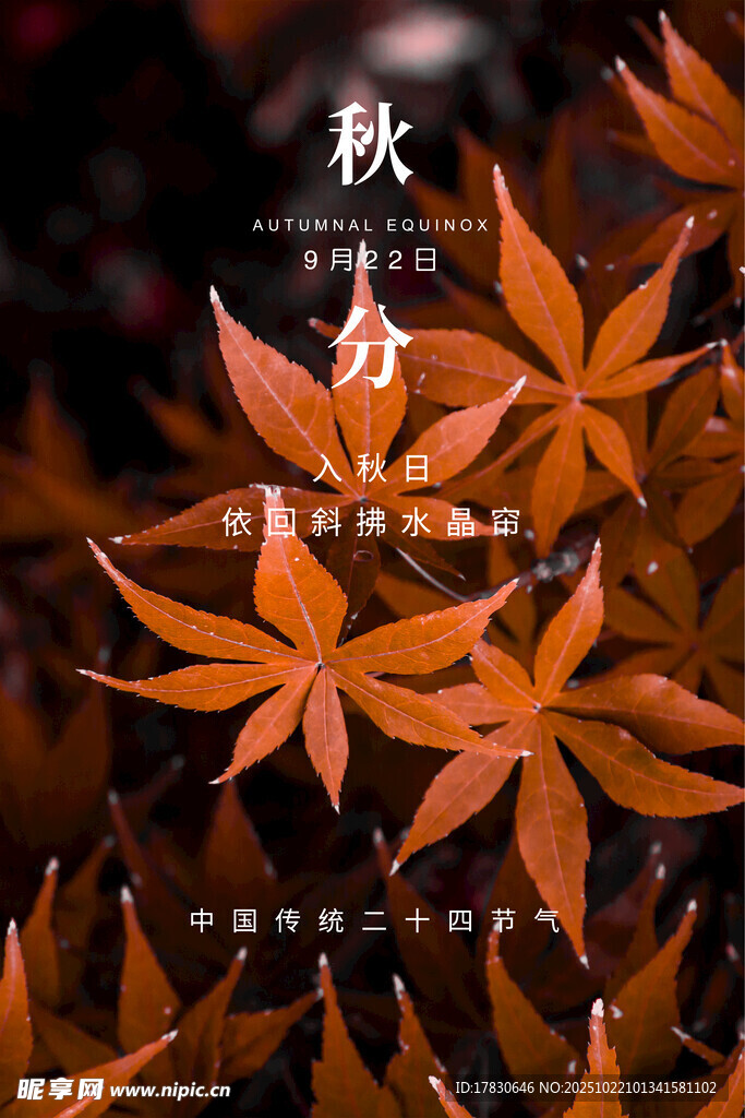 秋分海报