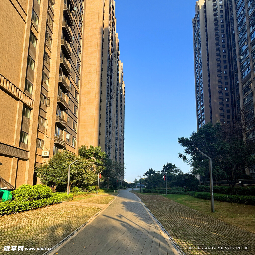 小区内宽敞的林荫步道